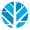 Angel Oak logo